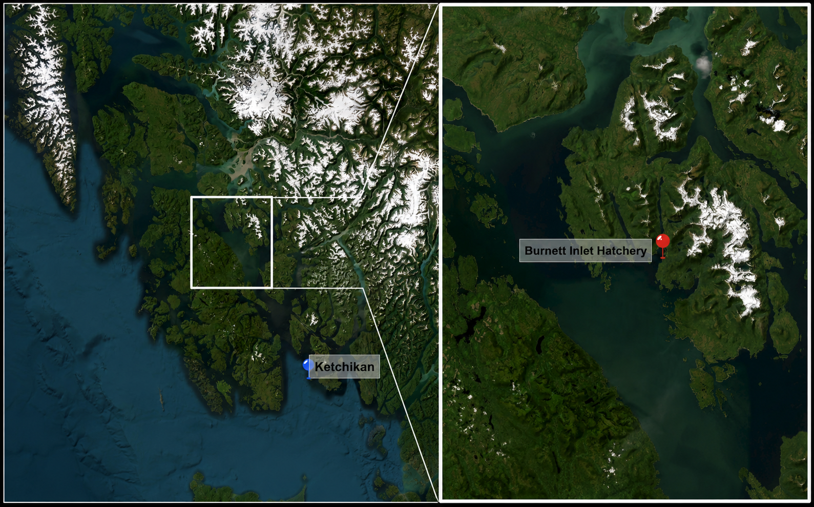 SSRAA - Southern Southeast Regional Aquaculture Association | Burnett Inlet